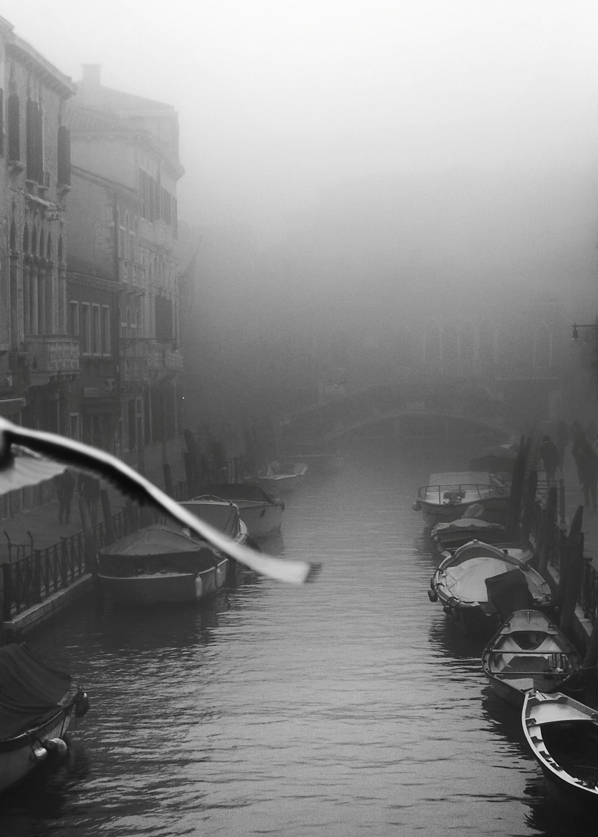 variant-50x70_no-margin