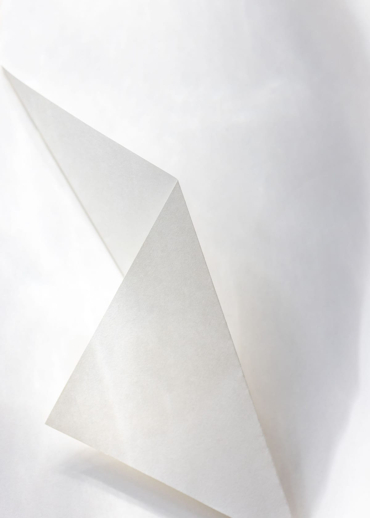 variant-50x70_no-margin
