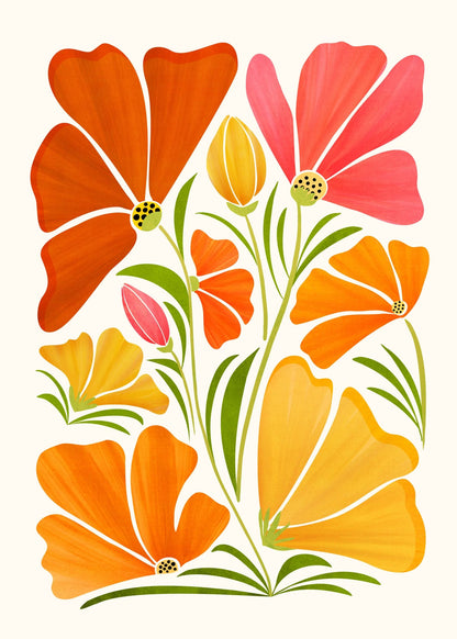 variant-50x70_no-margin