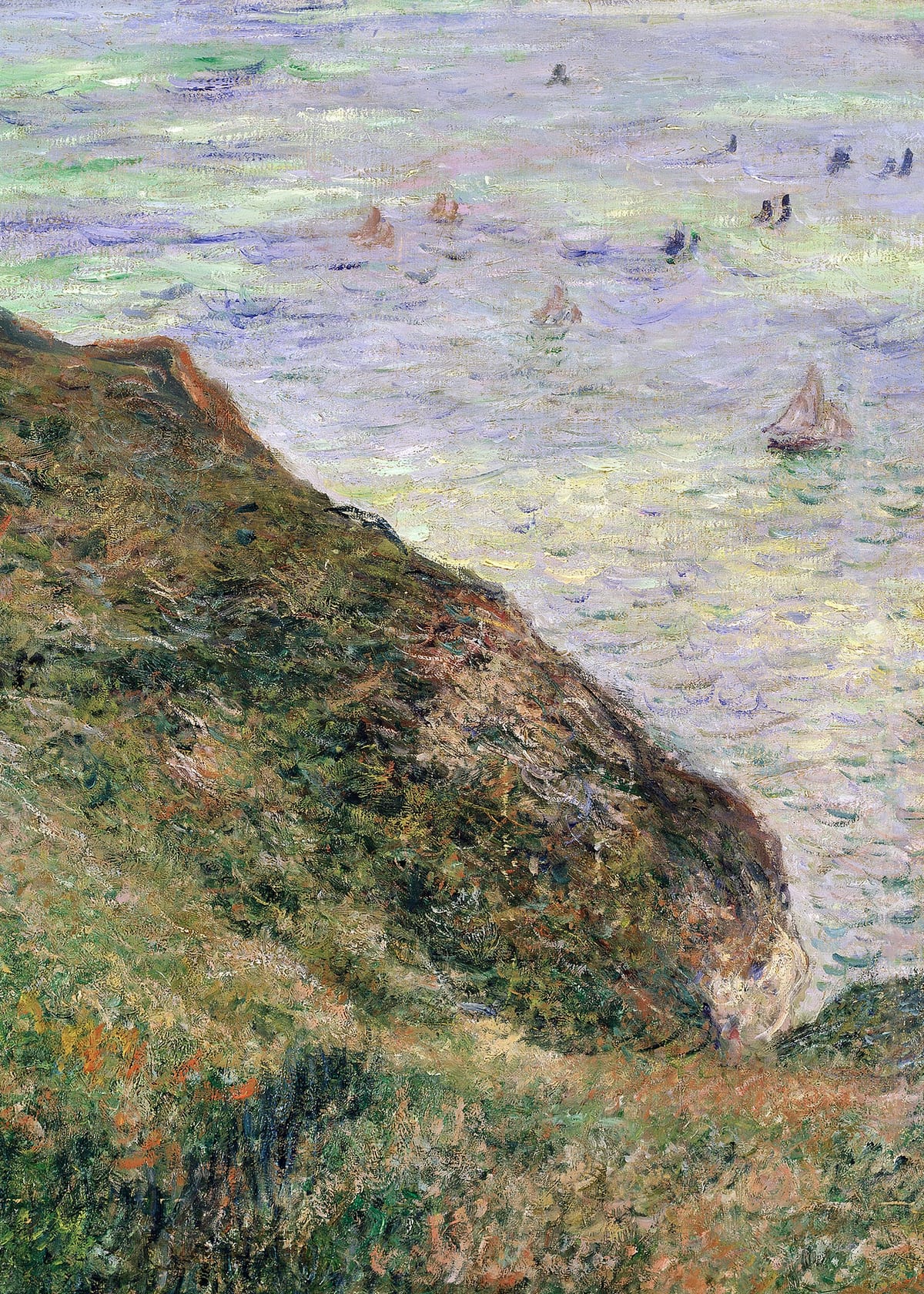 variant-50x70_no-margin