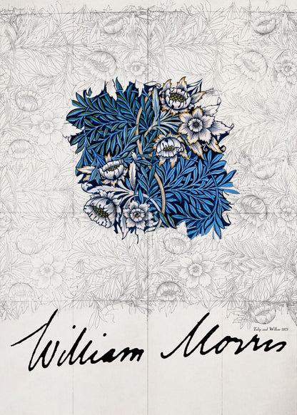variant-50x70_no-margin