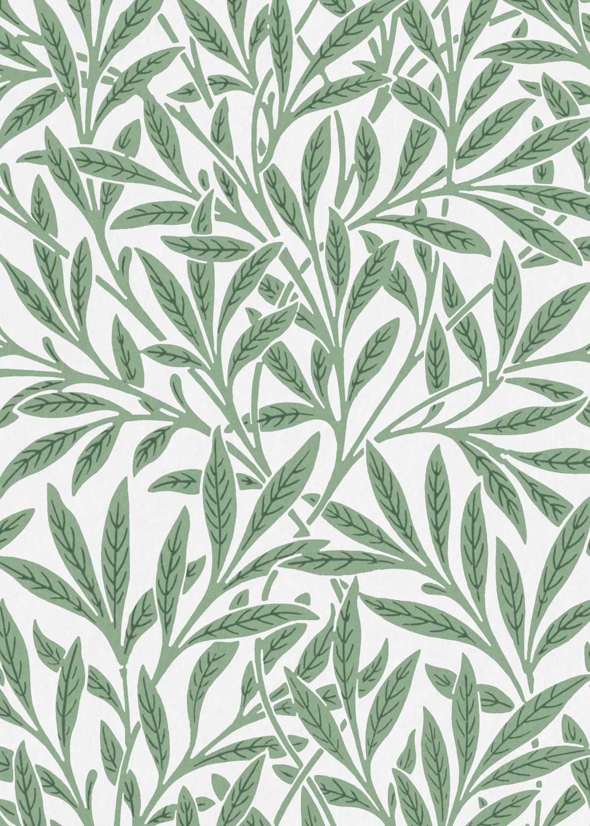 variant-50x70_no-margin