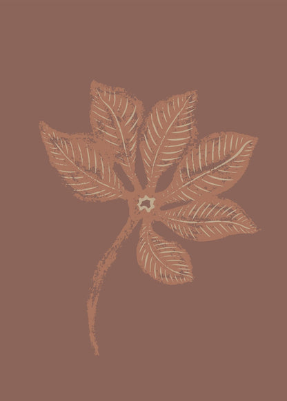 variant-50x70_no-margin