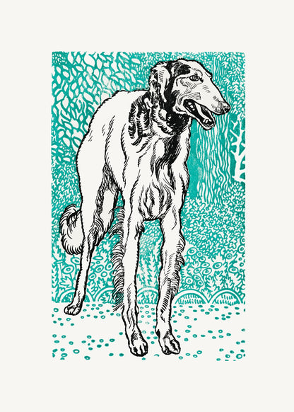 variant-50x70_no-margin