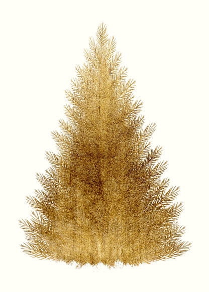 variant-50x70_no-margin