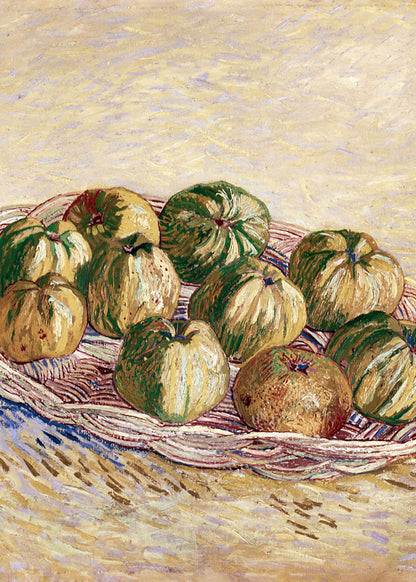 variant-50x70_no-margin