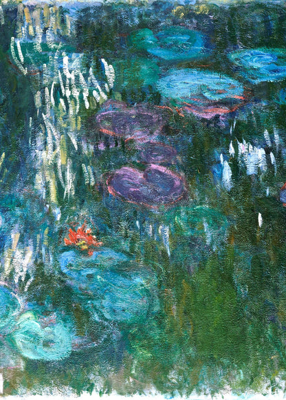 variant-50x70_no-margin