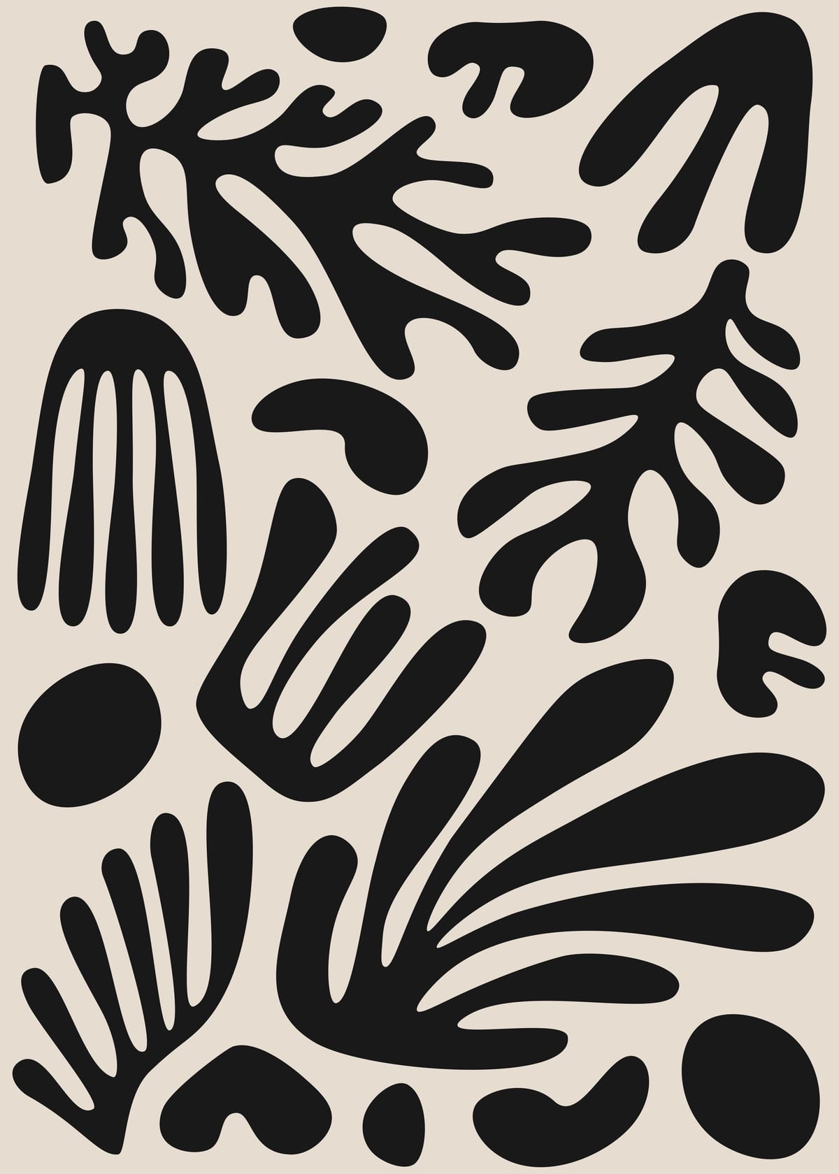 variant-50x70_no-margin