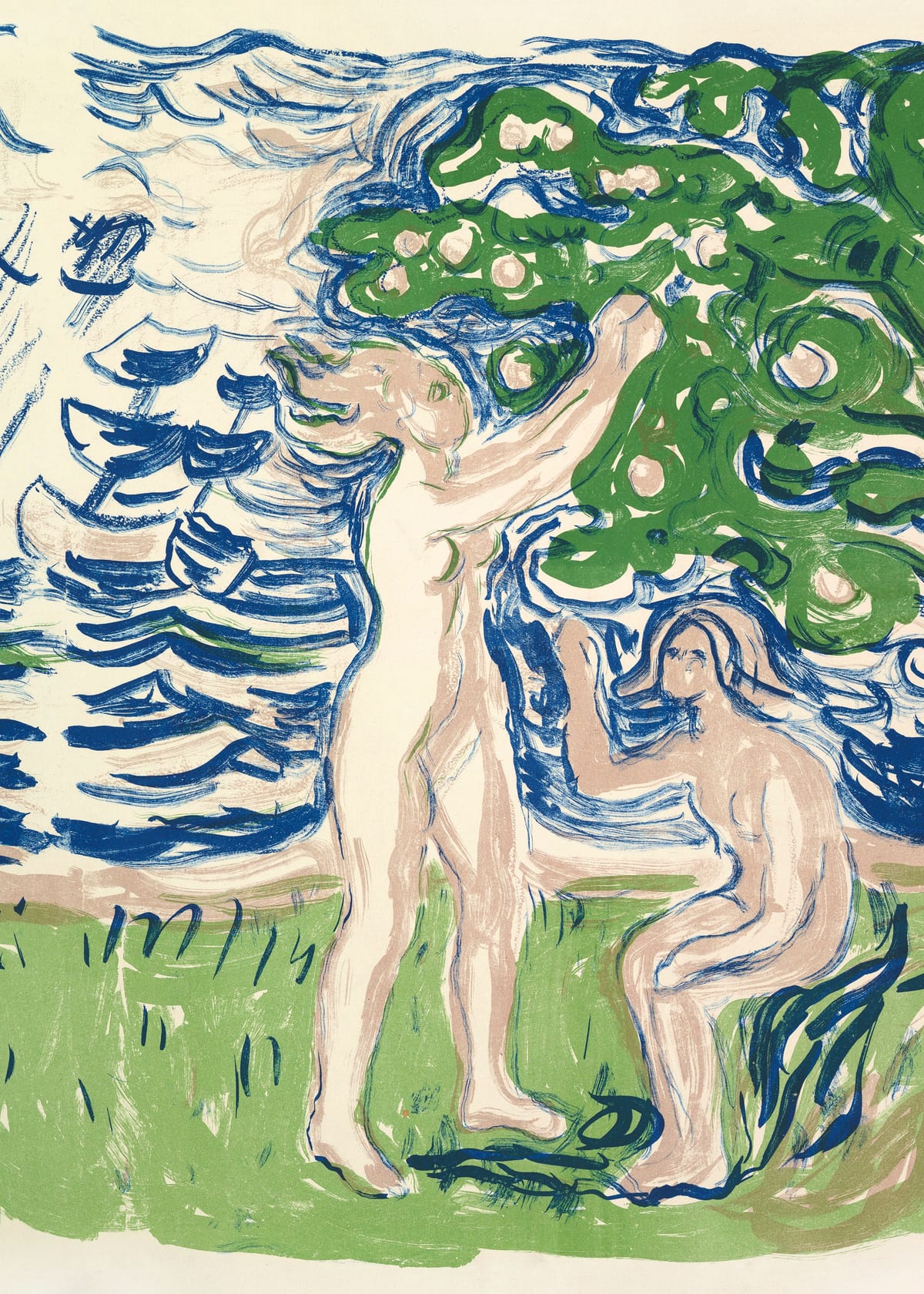 variant-50x70_no-margin