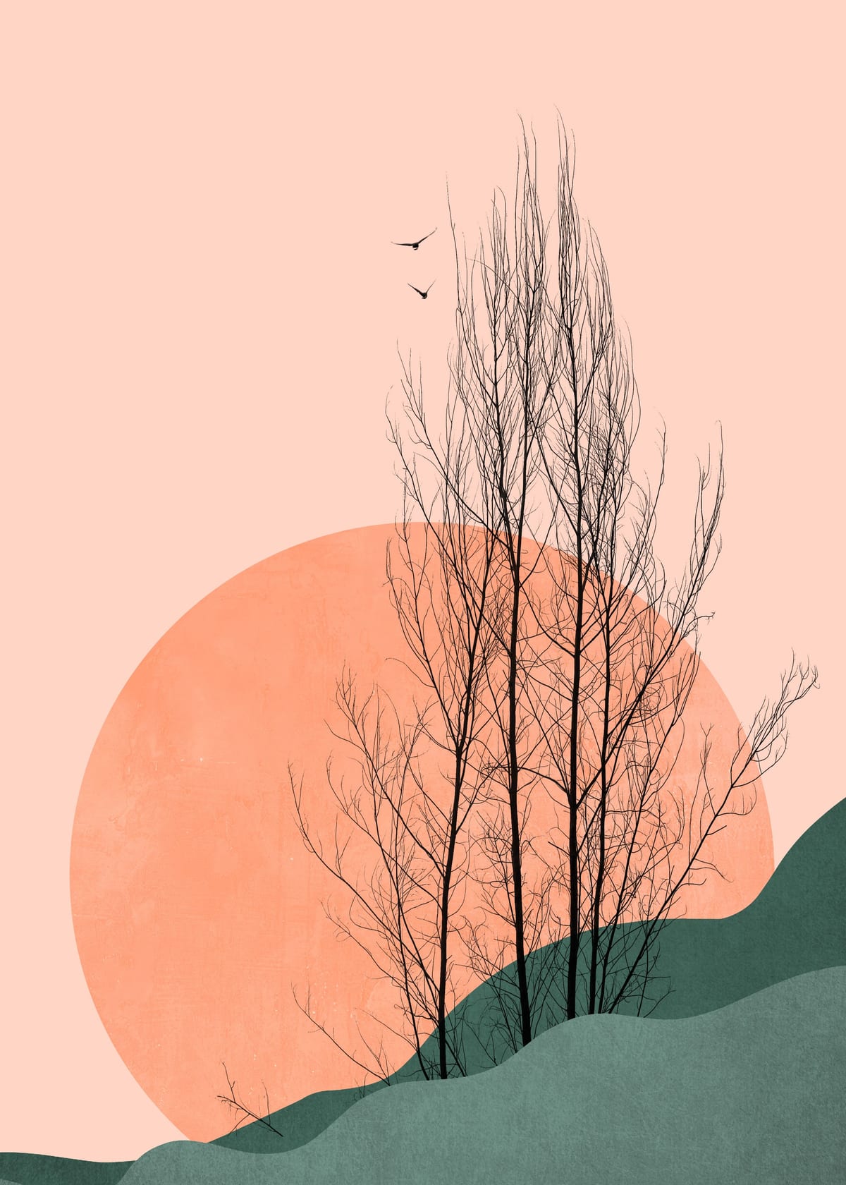 variant-50x70_no-margin