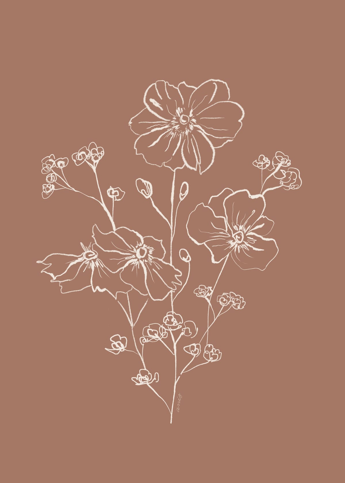 variant-50x70_no-margin