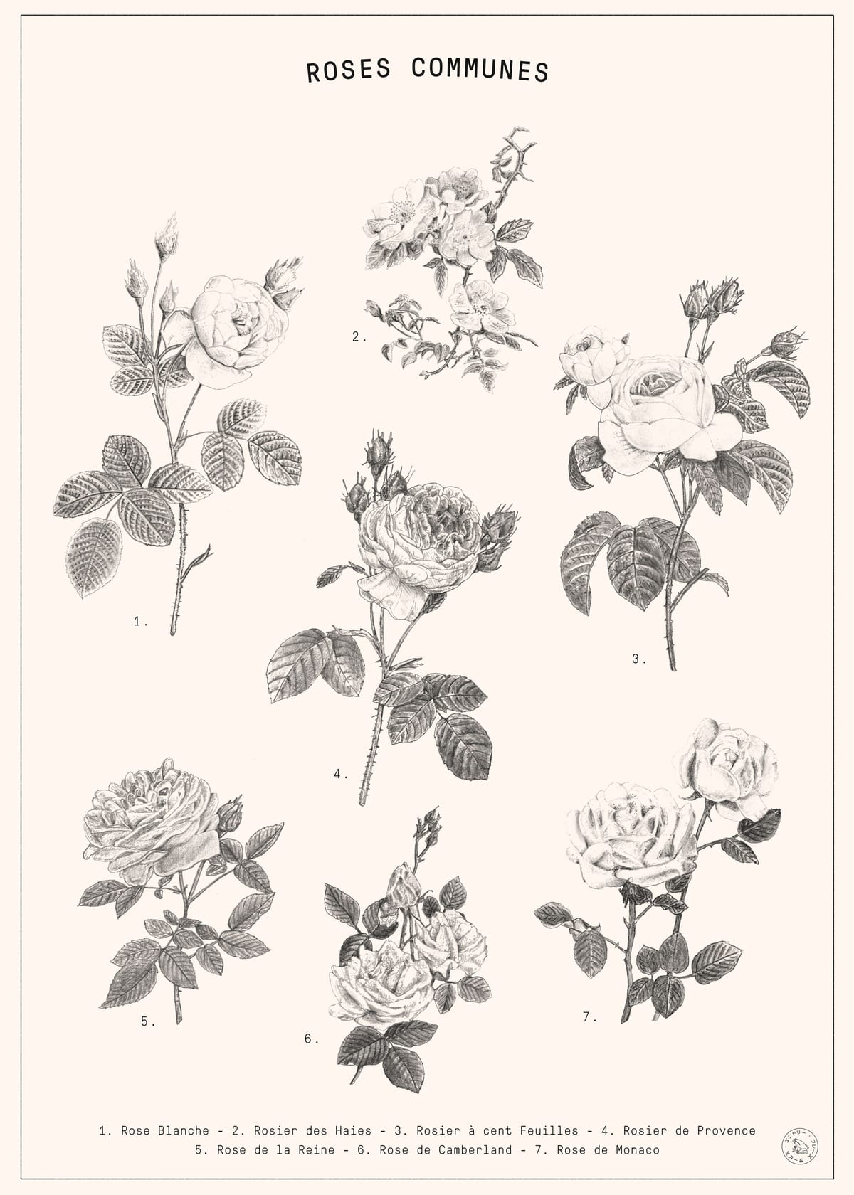 variant-50x70_no-margin