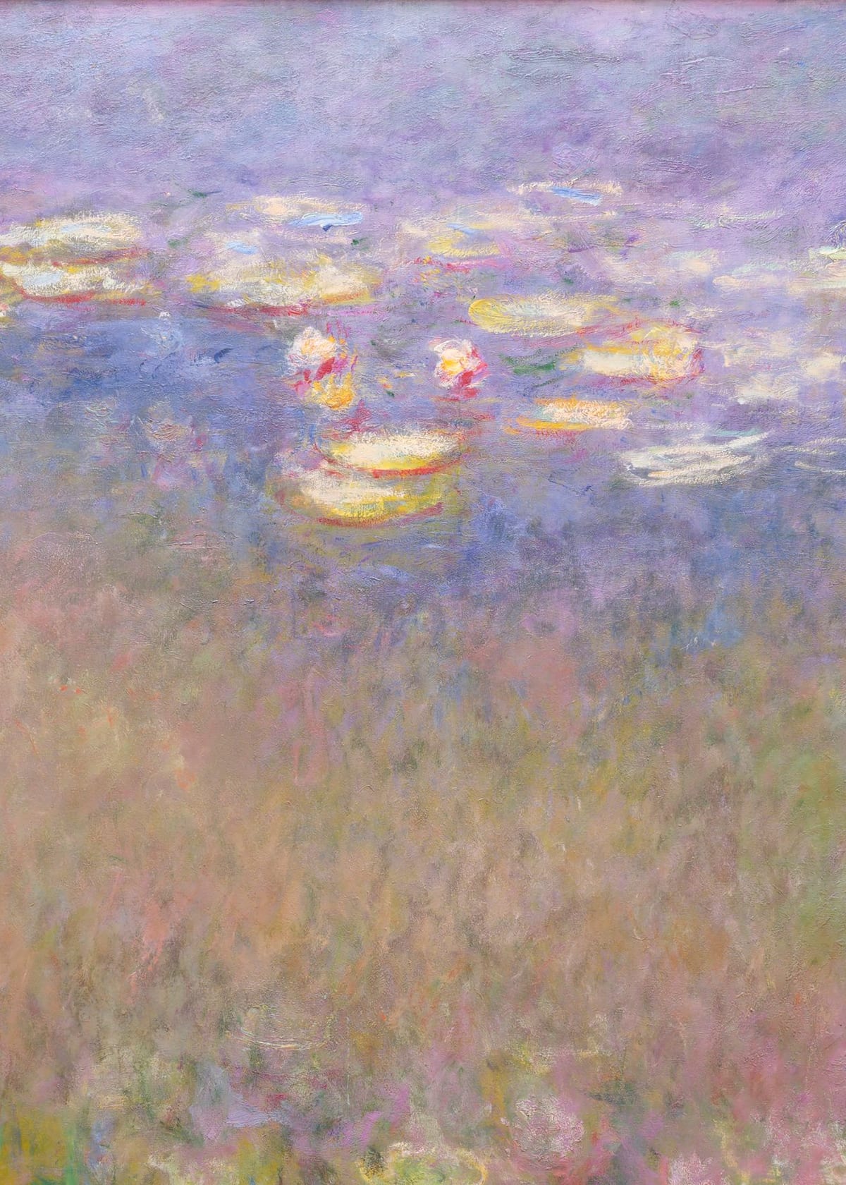 variant-50x70_no-margin