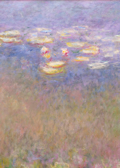 variant-50x70_no-margin