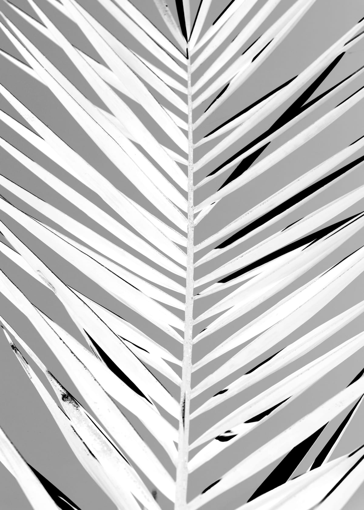variant-50x70_no-margin