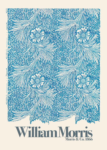 variant-50x70_no-margin