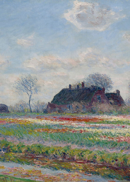 variant-50x70_no-margin