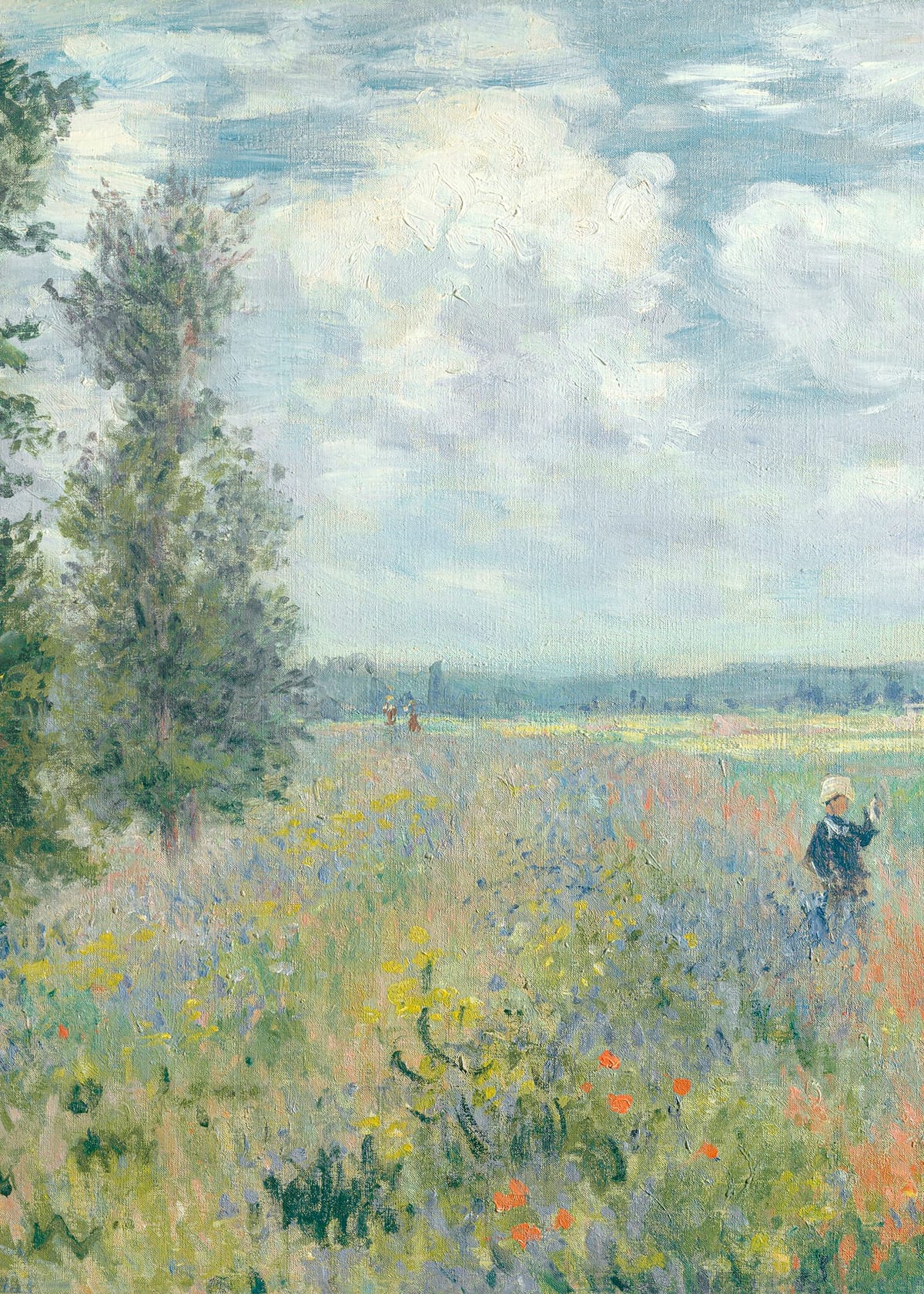 variant-50x70_no-margin