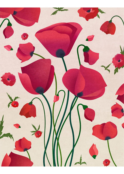 variant-50x70_no-margin