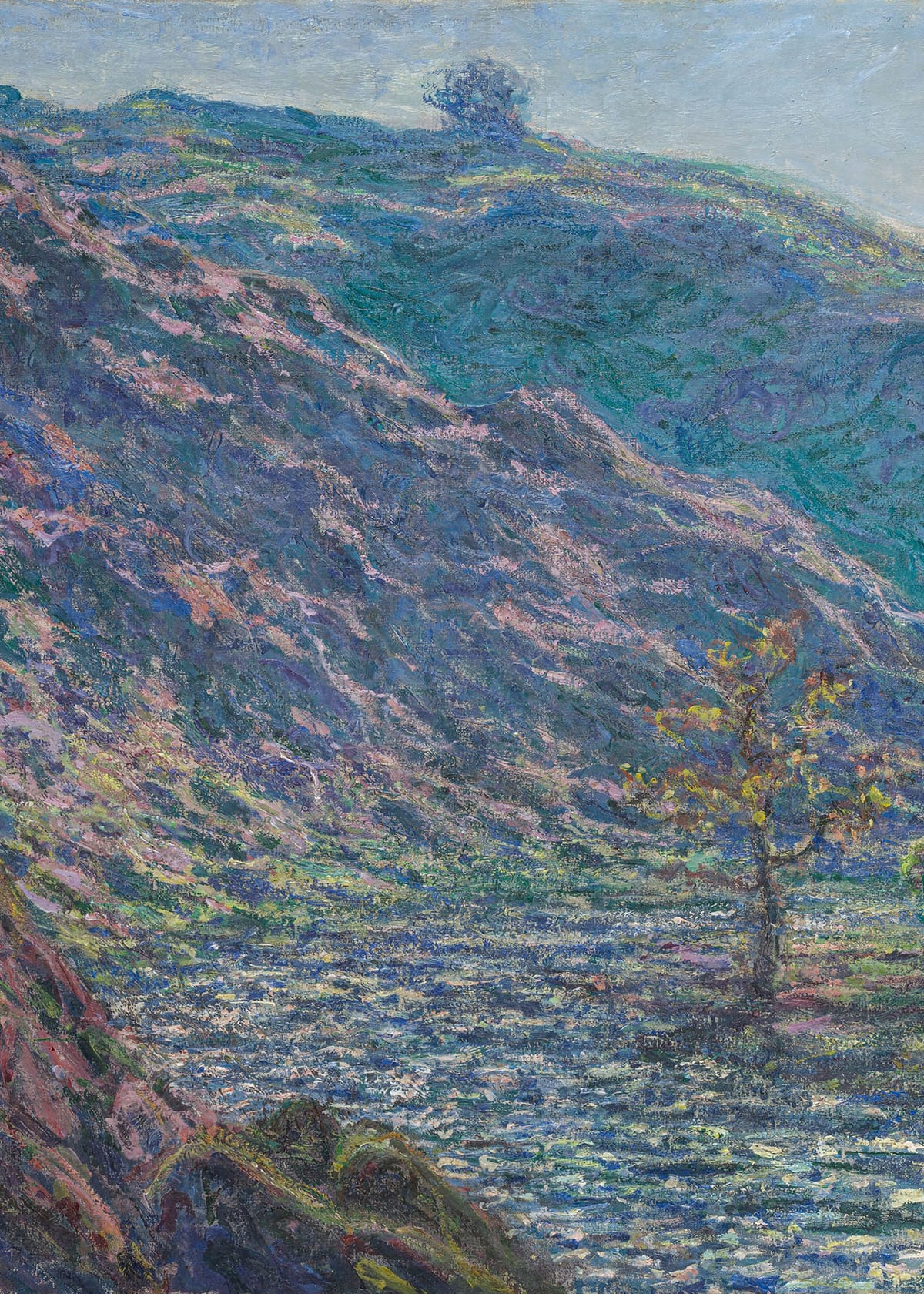 variant-50x70_no-margin