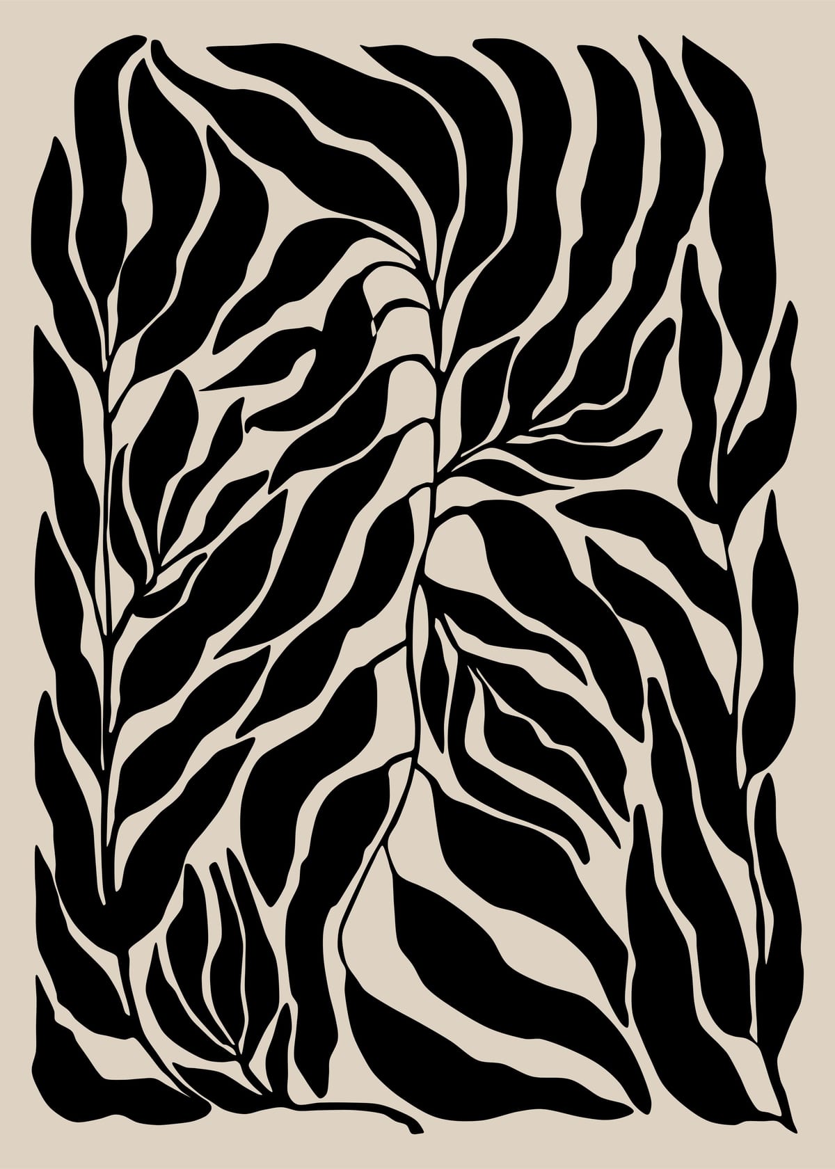 variant-50x70_no-margin