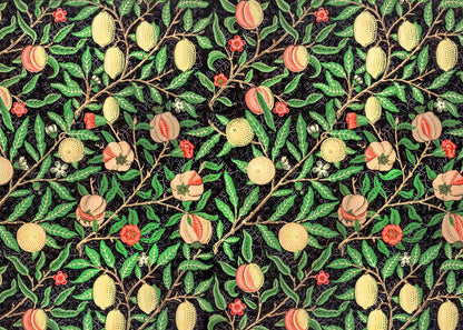 variant-50x70_no-margin