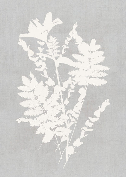 variant-50x70_no-margin