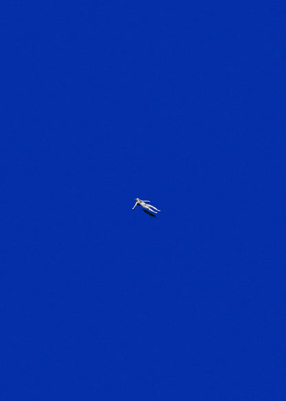 variant-50x70_no-margin