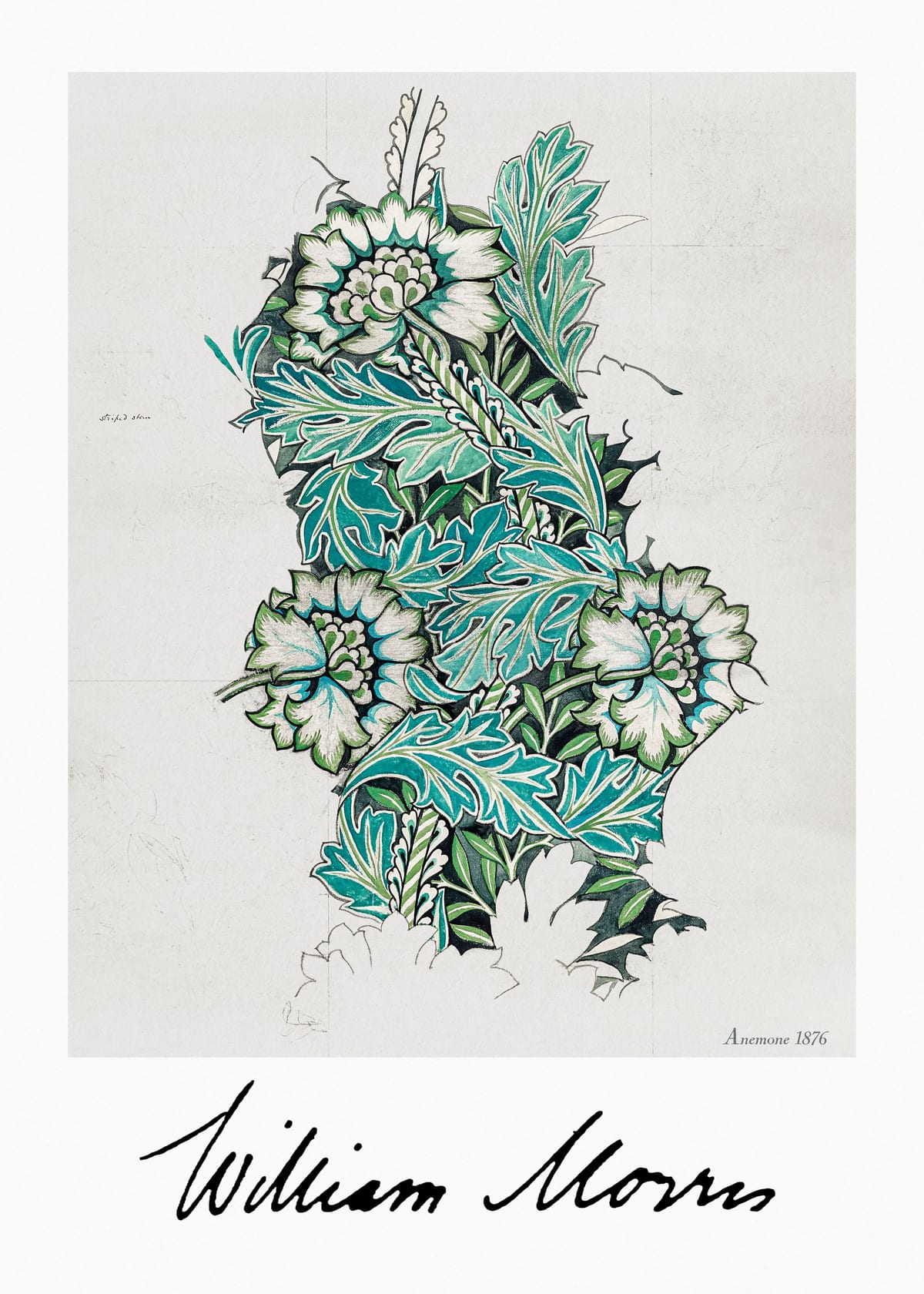 variant-50x70_no-margin