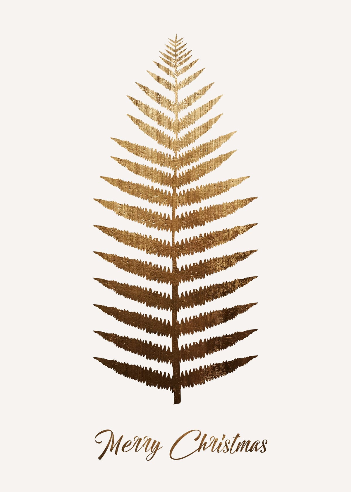 variant-50x70_no-margin