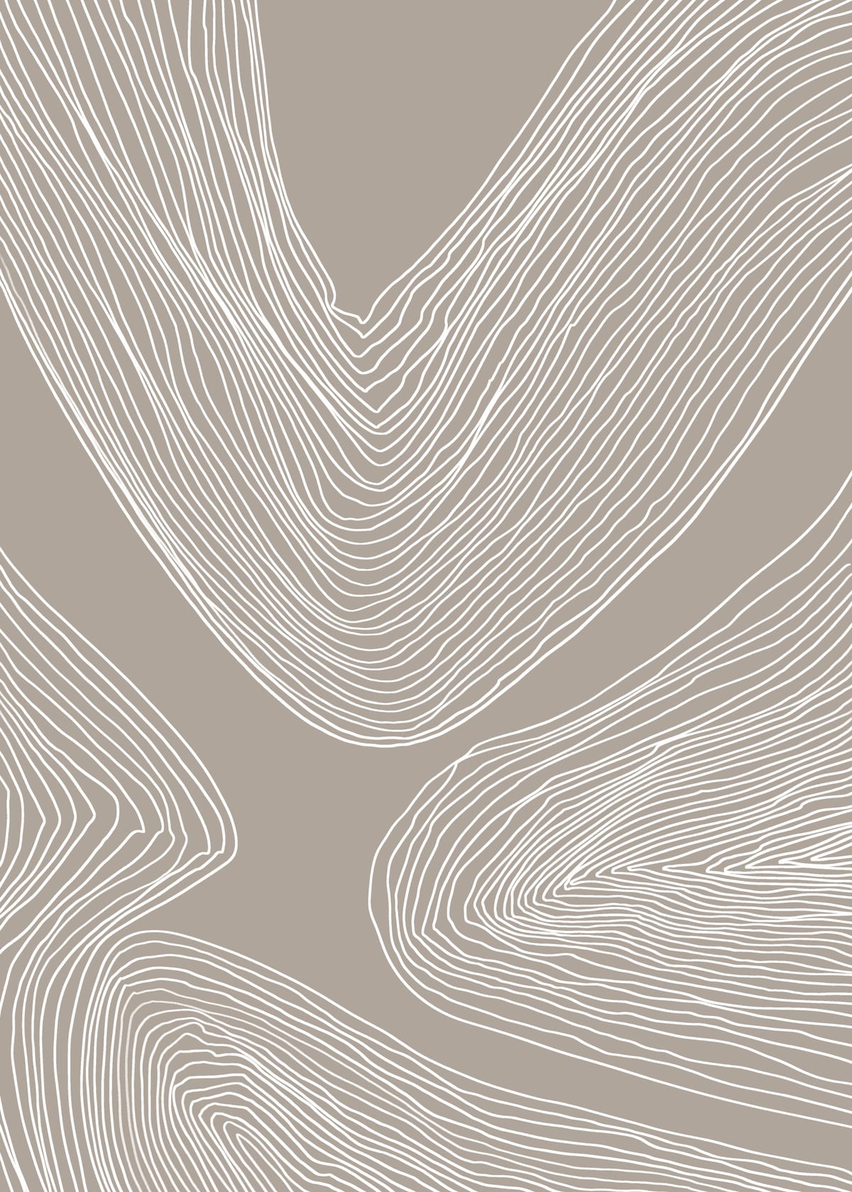variant-50x70_no-margin