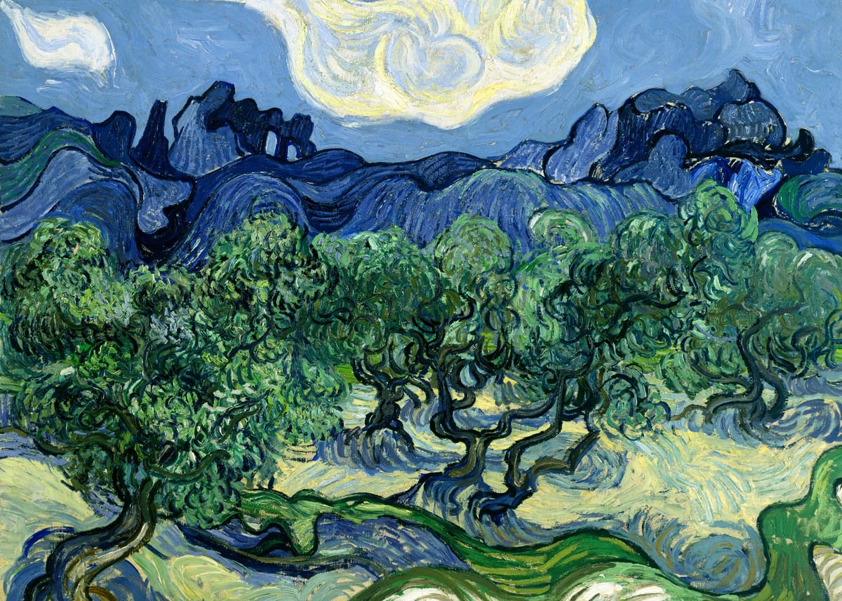 variant-50x70_no-margin