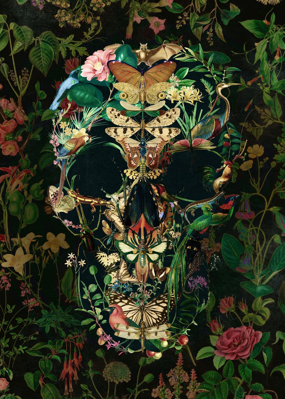 variant-50x70_no-margin