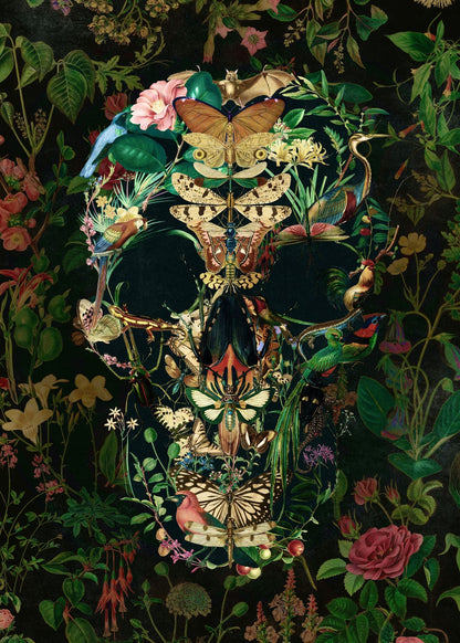 variant-50x70_no-margin