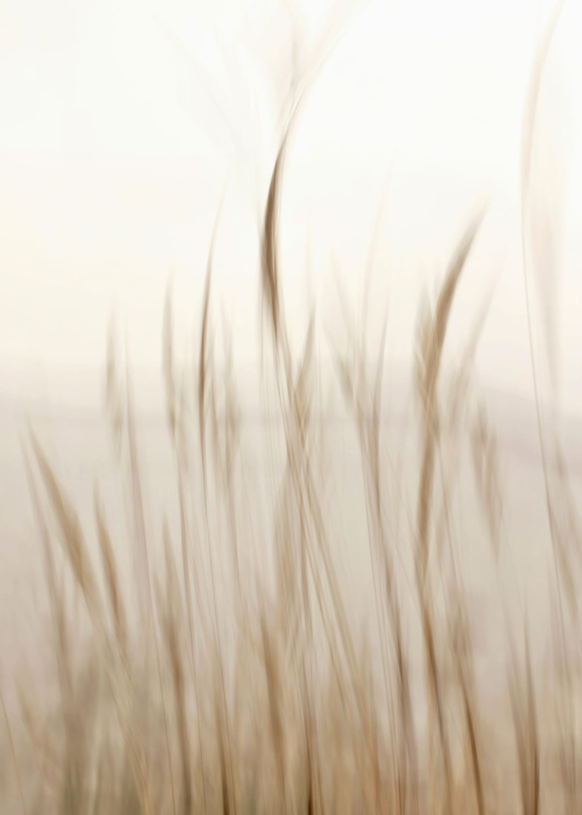 variant-50x70_no-margin