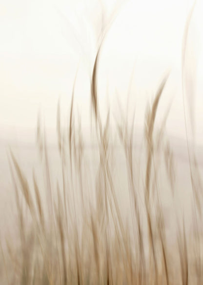 variant-50x70_no-margin