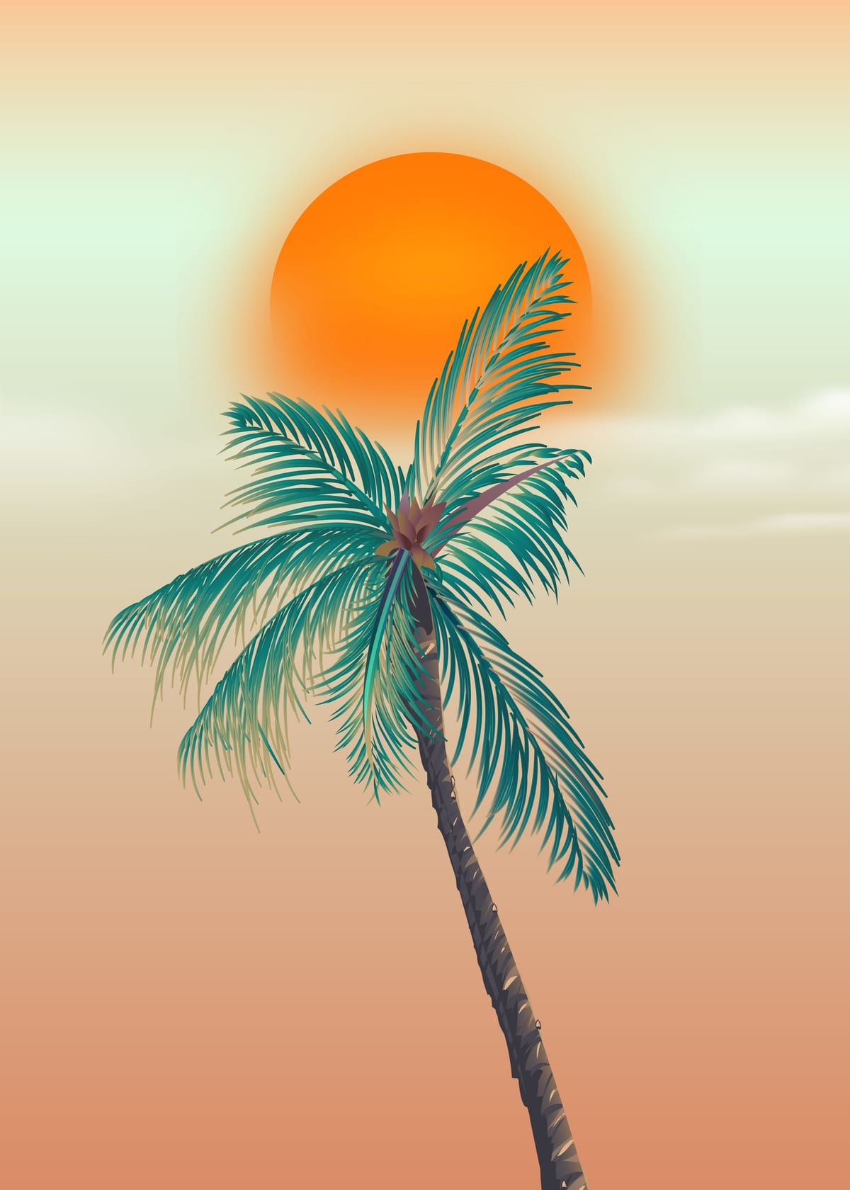 variant-50x70_no-margin