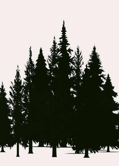 variant-50x70_no-margin