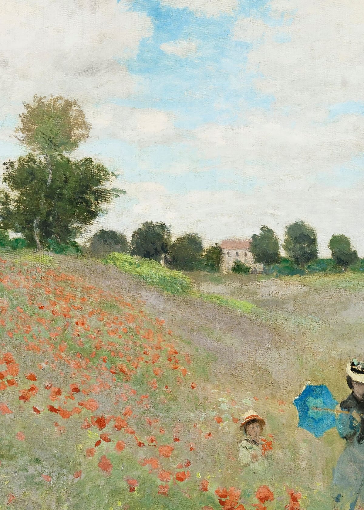 variant-50x70_no-margin