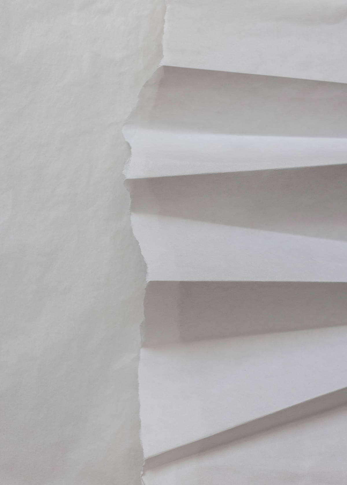 variant-50x70_no-margin
