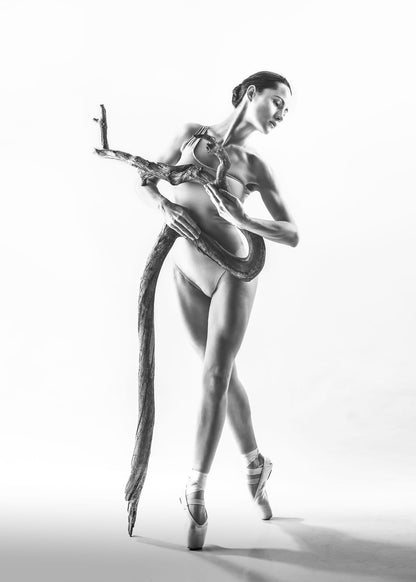 variant-50x70_no-margin