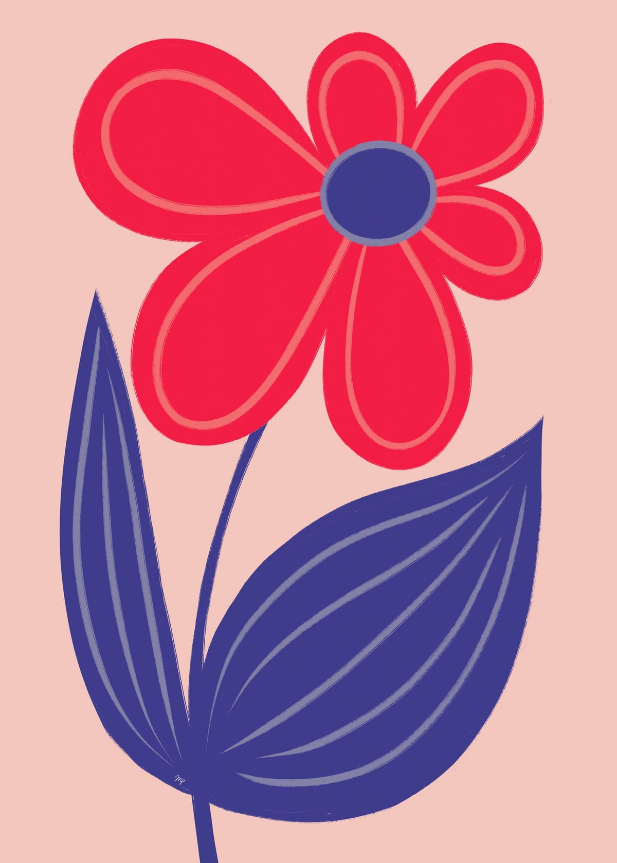 variant-50x70_no-margin