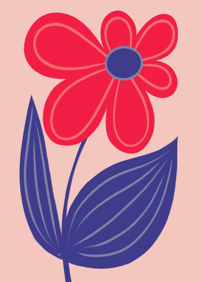 variant-50x70_no-margin
