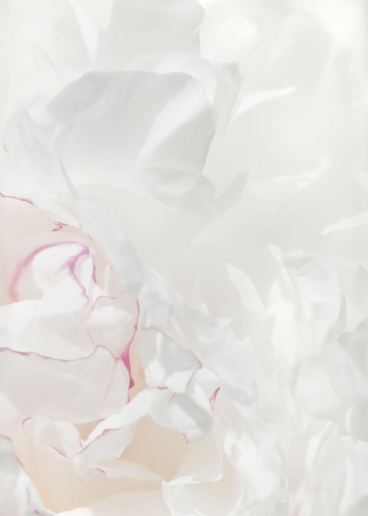 variant-50x70_no-margin