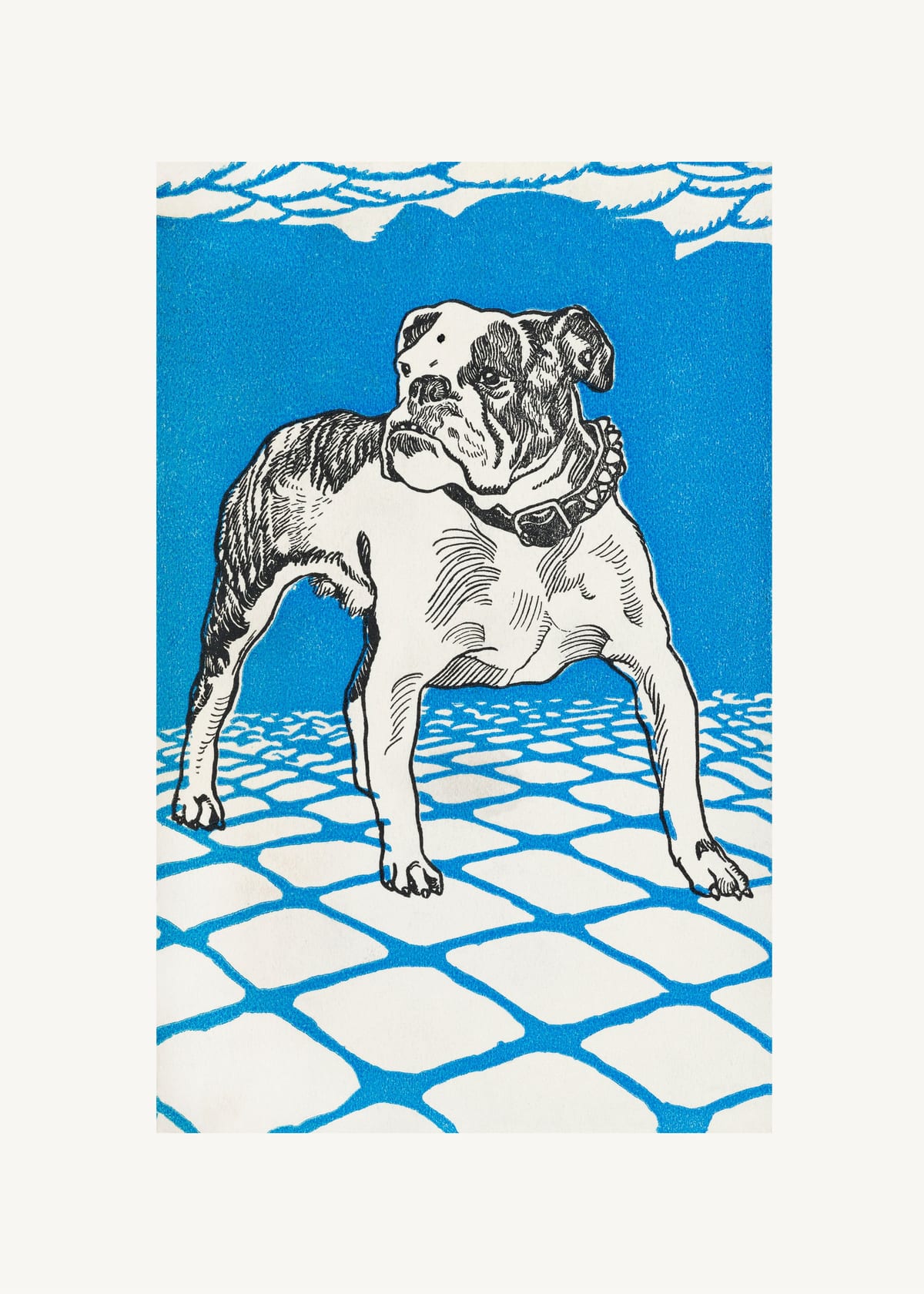 variant-50x70_no-margin