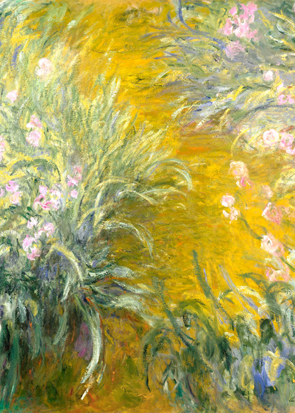 variant-50x70_no-margin
