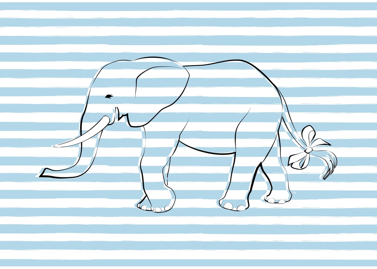 variant-50x70_no-margin