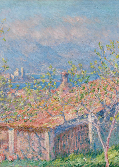 variant-50x70_no-margin
