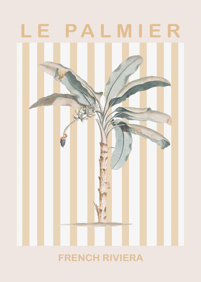 variant-50x70_no-margin