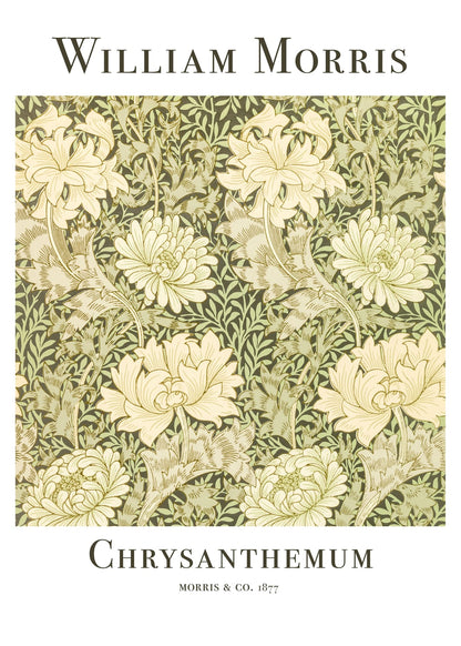variant-50x70_no-margin